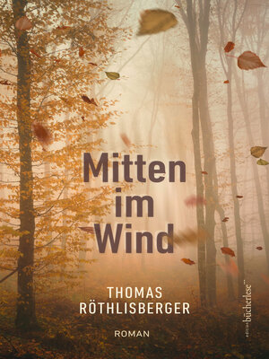 cover image of Mitten im Wind